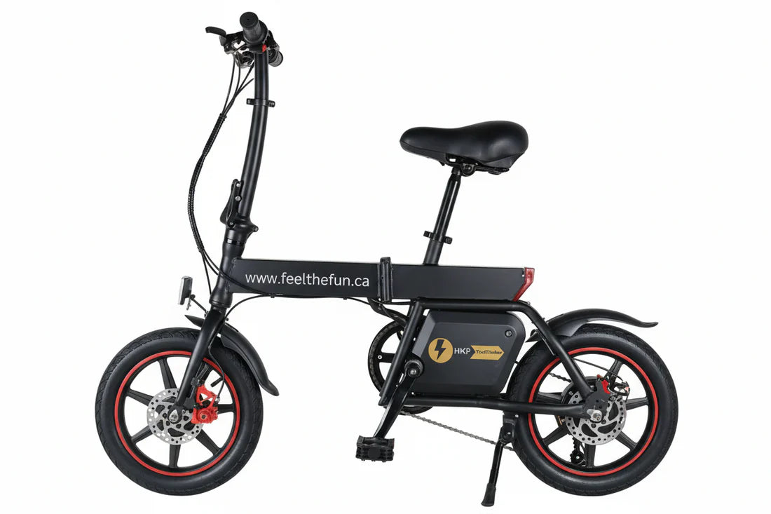 HK B20 Foldable Electric Bike for adults