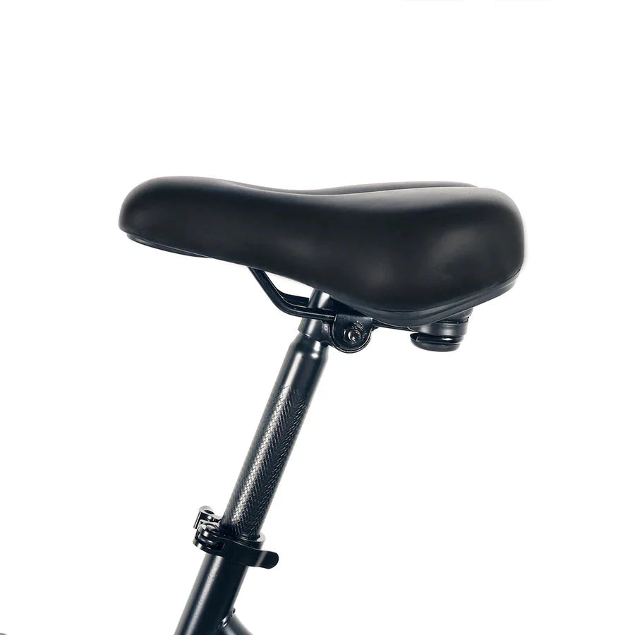 HK B20 Foldable Electric Bike for adults