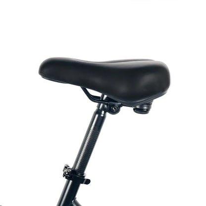 HK B20 Foldable Electric Bike for adults