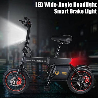 HK B20 Foldable Electric Bike for adults