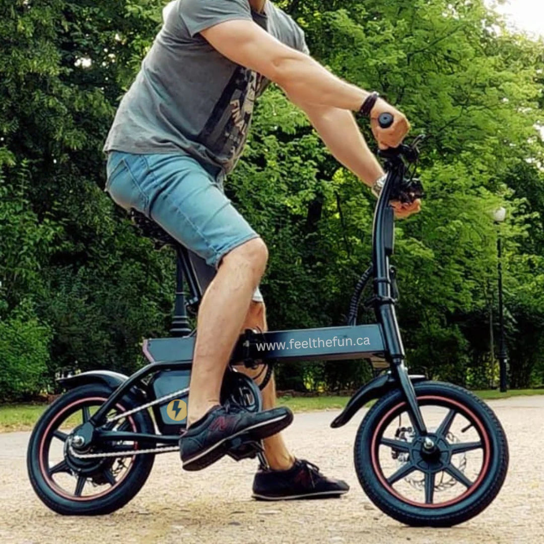 HK B20 Foldable Electric Bike for adults