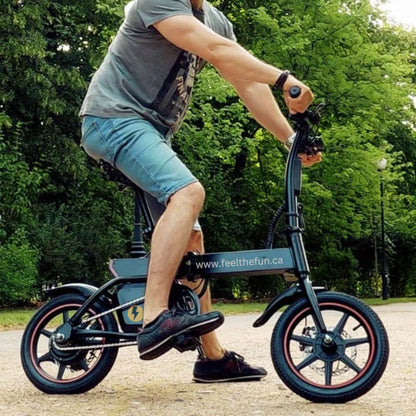 HK B20 Foldable Electric Bike for adults